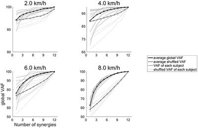 Lower Local Dynamic Stability and Invariable Orbital Stability in the Activation of Muscle Synergies in Response to Accelerated Walking Speeds